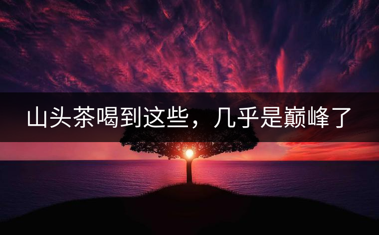 山頭茶喝到這些，幾乎是巔峰了