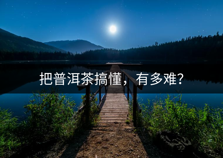 把普洱茶搞懂，有多難？