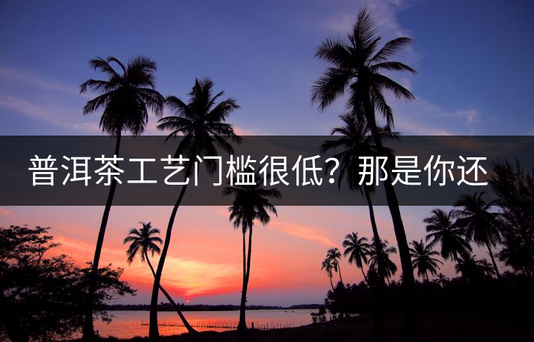 普洱茶工藝門檻很低？那是你還沒有參透工藝與自然之間的奧秘！