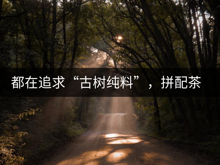 都在追求“古樹純料”，拼配茶真的不如純料的？