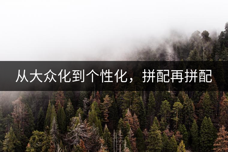 從大眾化到個(gè)性化，拼配再拼配