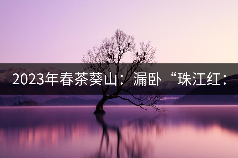 2023年春茶葵山：漏臥“珠江紅：1200元-3200元（有3個檔次）漏臥“大廠茶”：古樹單株8600-9000元／公斤，中樹4800-5200元／公斤，小樹混采2600-2800元／公斤。
