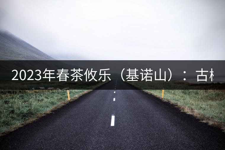 2023年春茶攸樂(lè)（基諾山）：古樹(shù)1200元／公斤，喬木：400-500元／公斤