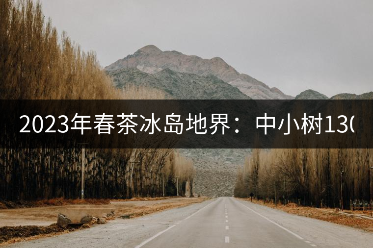 2023年春茶冰島地界：中小樹(shù)1300-1500元／公斤，古樹(shù)2200~2500元／公斤