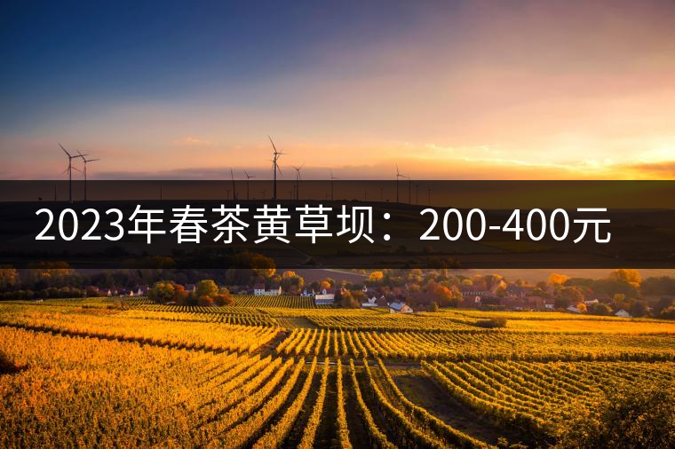 2023年春茶黃草壩:200-400元/公斤 2023年春茶黃草壩:200-400元/公斤