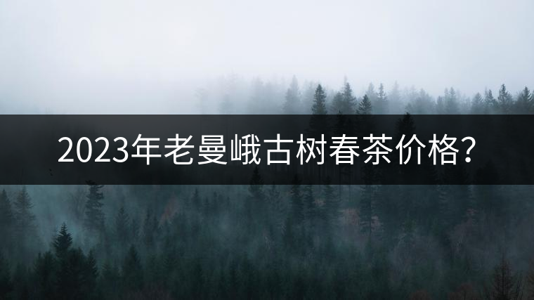 2023年老曼峨古樹(shù)春茶價(jià)格？