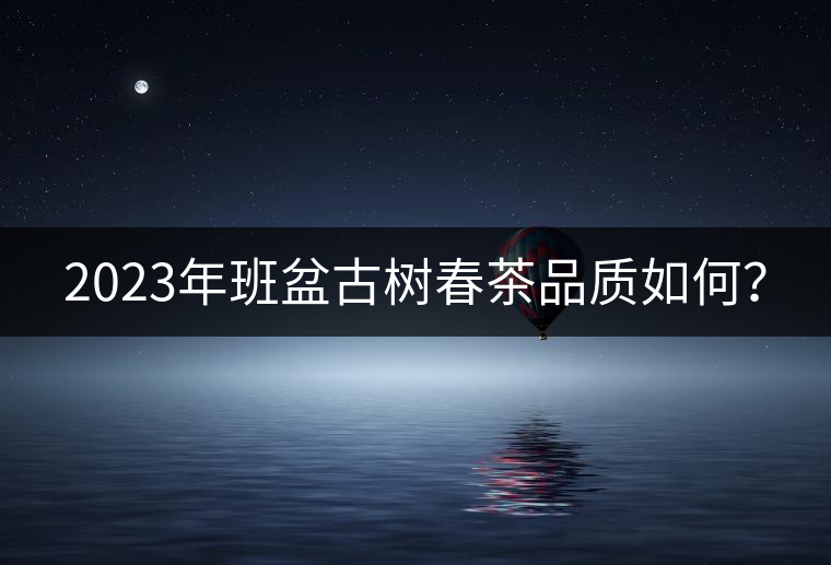 2023年班盆古樹春茶品質(zhì)如何？