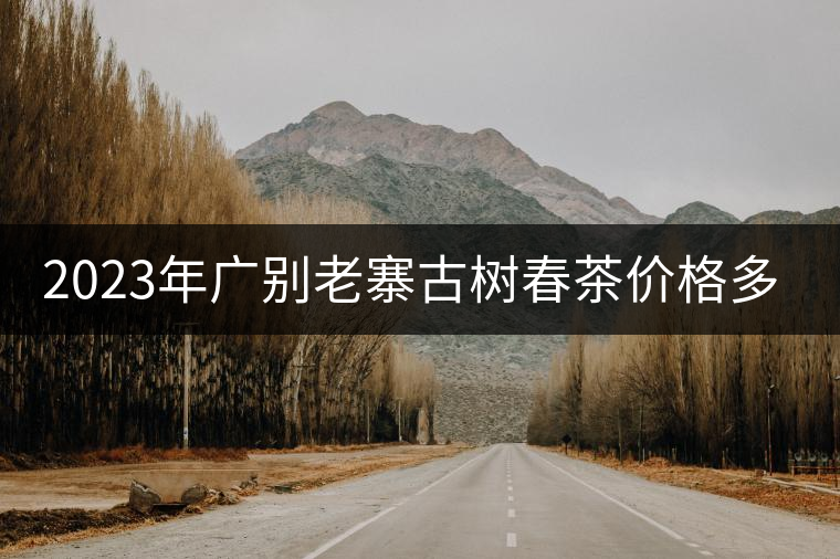 2023年廣別老寨古樹(shù)春茶價(jià)格多少？