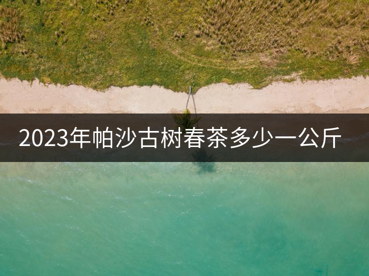 2023年帕沙古樹春茶多少一公斤？