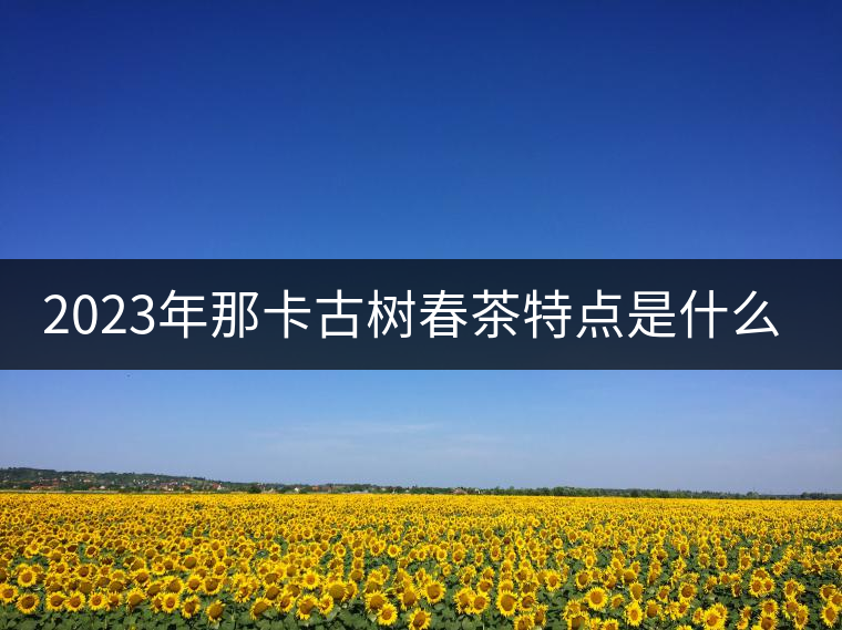 2023年那卡古樹(shù)春茶特點(diǎn)是什么？