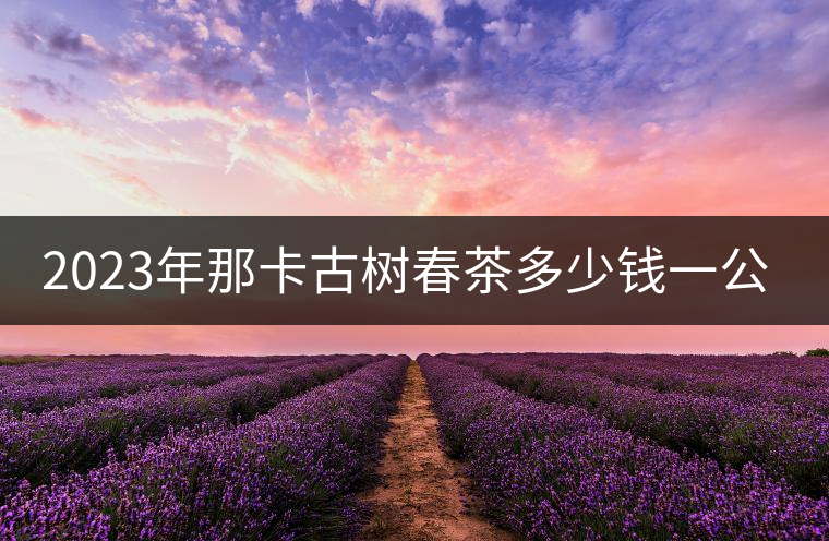 2023年那卡古樹春茶多少錢一公斤？