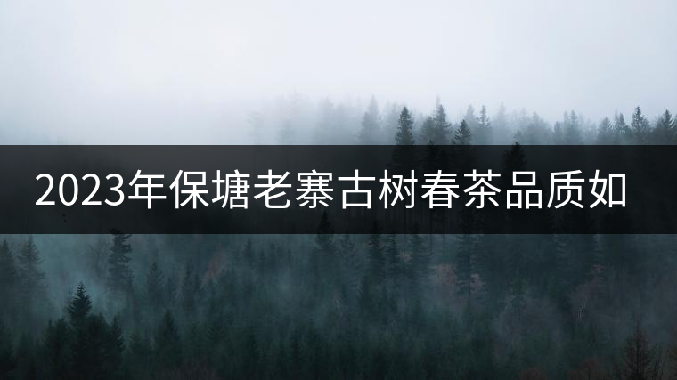 2023年保塘老寨古樹春茶品質(zhì)如何？