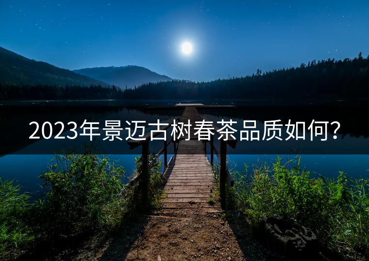 2023年景邁古樹春茶品質(zhì)如何？