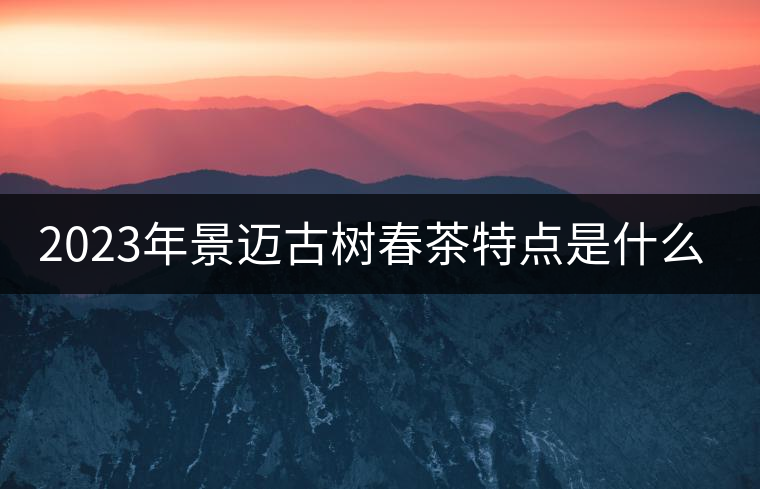 2023年景邁古樹春茶特點(diǎn)是什么？