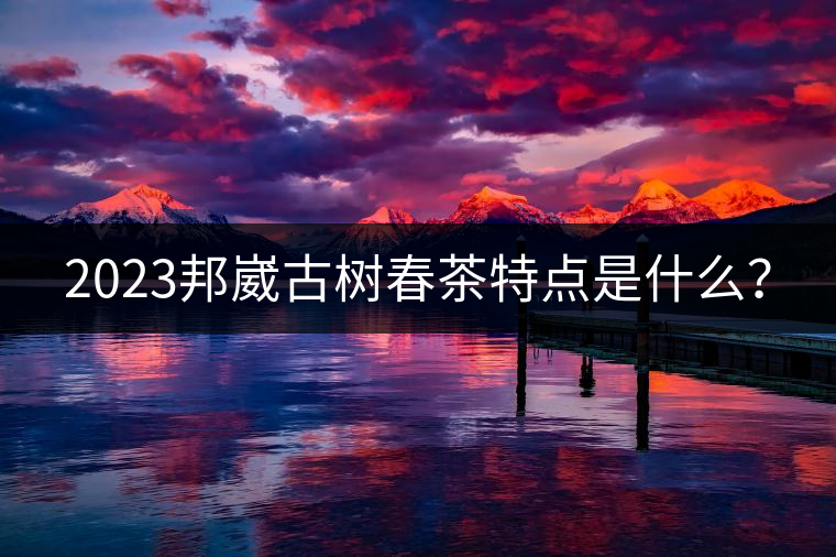 2023邦崴古樹春茶特點是什么？