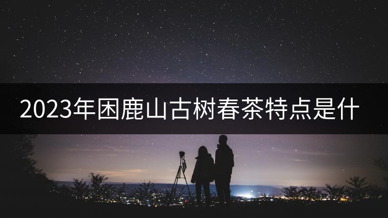 2023年困鹿山古樹春茶特點是什么？
