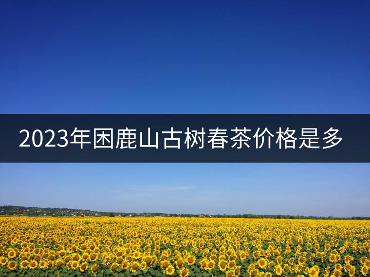2023年困鹿山古樹春茶價(jià)格是多少？