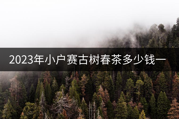 2023年小戶賽古樹春茶多少錢一公斤？