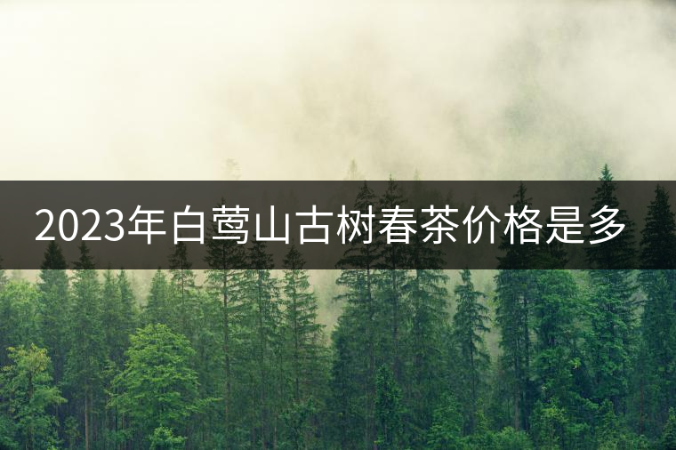 2023年白鶯山古樹春茶價格是多少？
