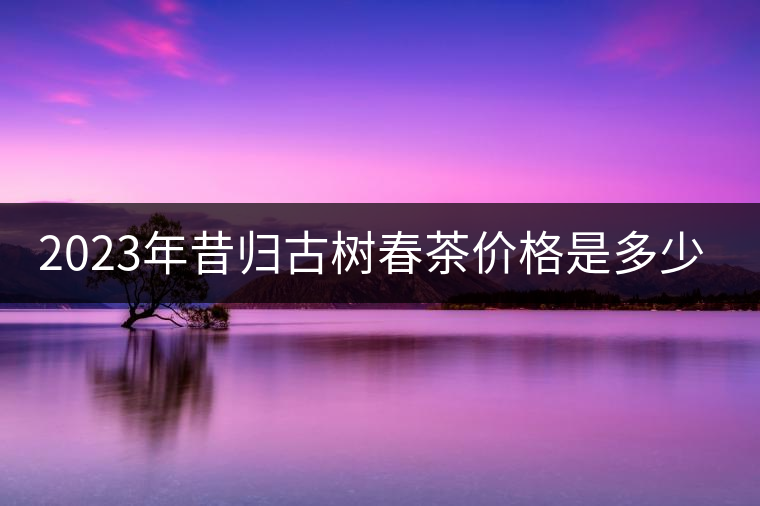 2023年昔歸古樹春茶價格是多少？