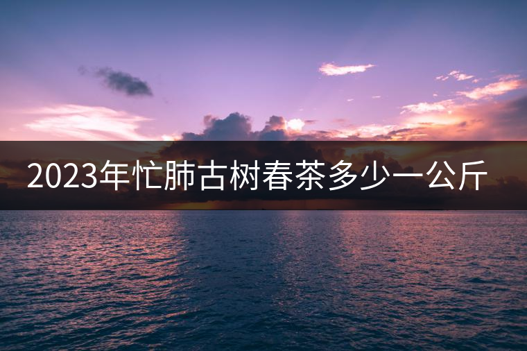 2023年忙肺古樹(shù)春茶多少一公斤？