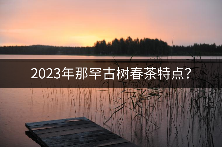 2023年那罕古樹(shù)春茶特點(diǎn)？
