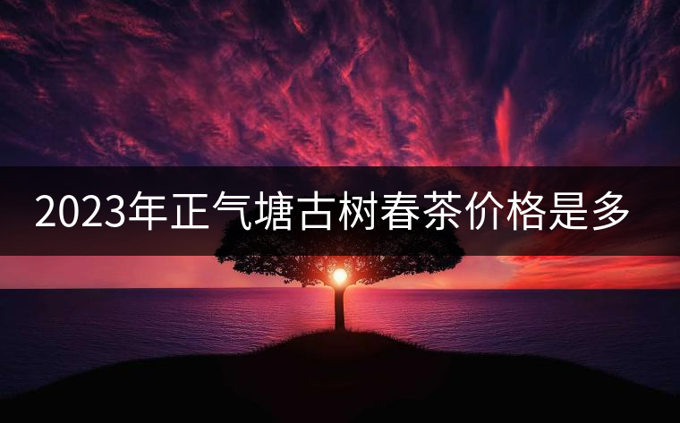2023年正氣塘古樹春茶價格是多少?