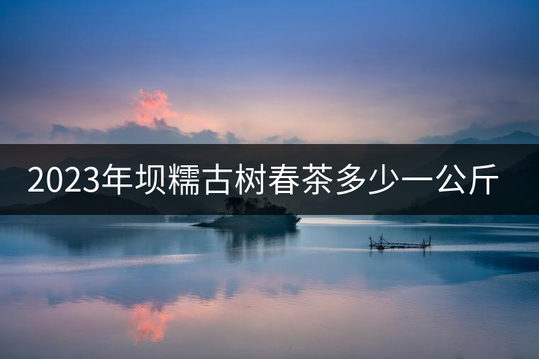 2023年壩糯古樹春茶多少一公斤？