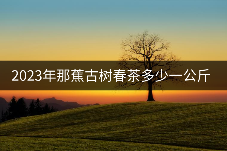 2023年那蕉古樹春茶多少一公斤？