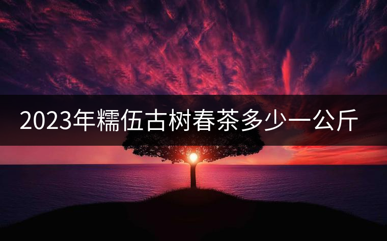 2023年糯伍古樹春茶多少一公斤？
