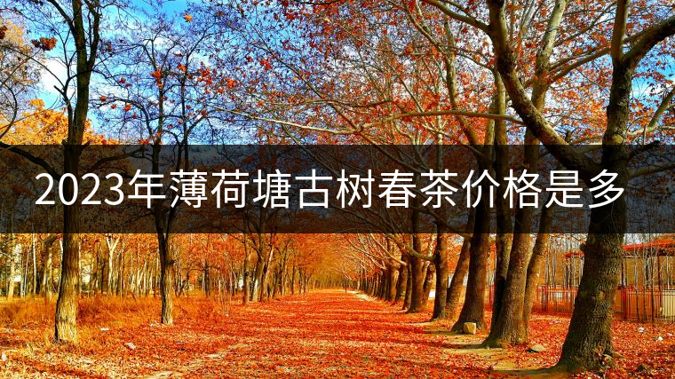 2023年薄荷塘古樹(shù)春茶價(jià)格是多少？