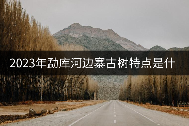 2023年勐庫河邊寨古樹特點是什么？