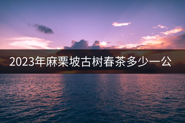 2023年麻栗坡古樹春茶多少一公斤？