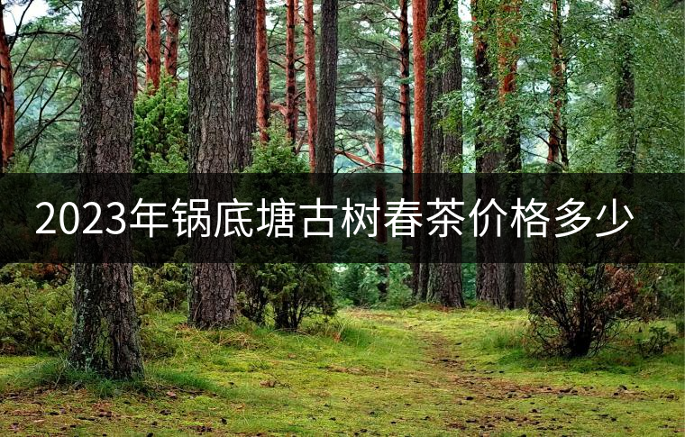 2023年鍋底塘古樹春茶價格多少？