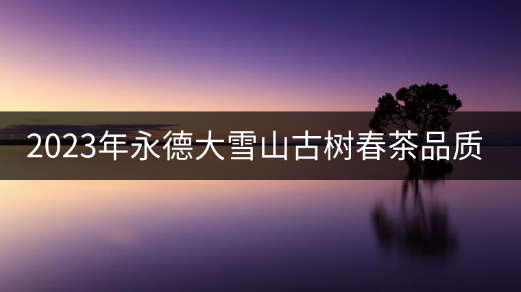 2023年永德大雪山古樹春茶品質(zhì)如何? 2023年永德大雪山古樹春茶品質(zhì)如何?