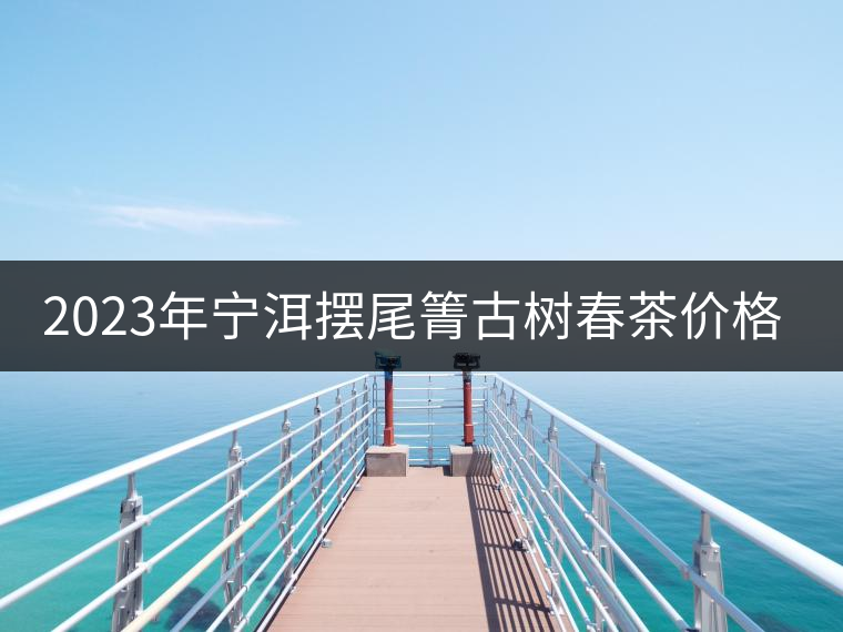 2023年寧洱擺尾箐古樹(shù)春茶價(jià)格是多少？