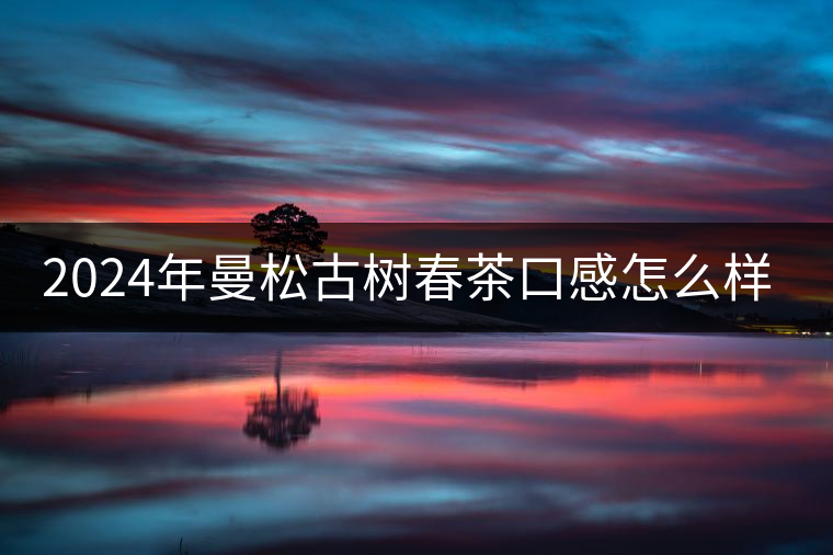 2024年曼松古樹(shù)春茶口感怎么樣？