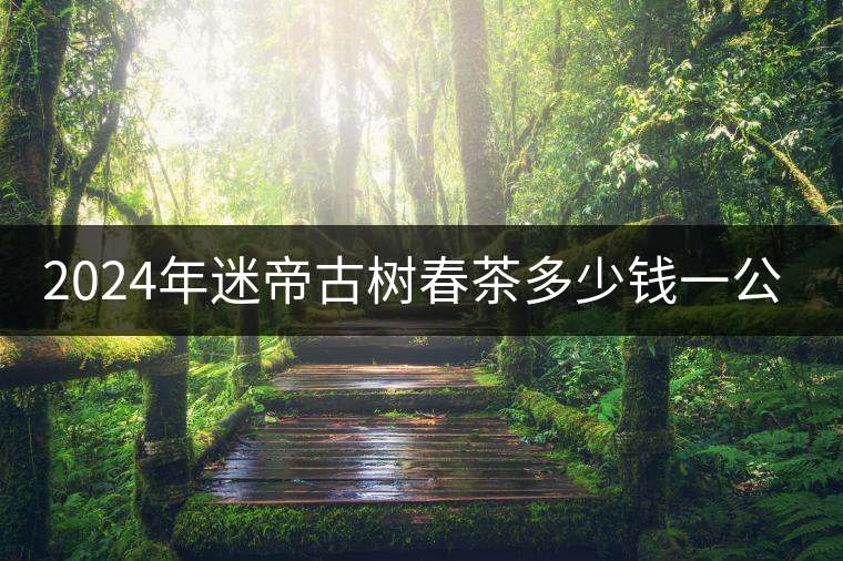 2024年迷帝古樹春茶多少錢一公斤？
