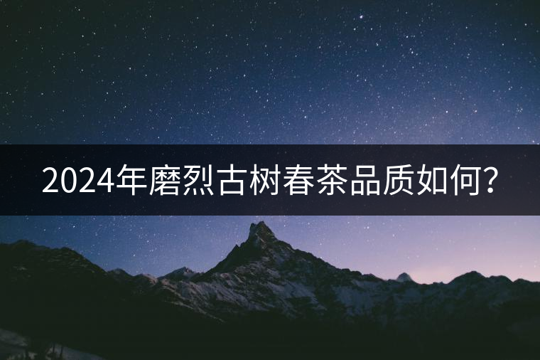 2024年磨烈古樹春茶品質(zhì)如何？
