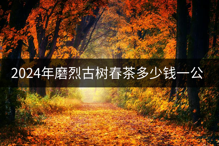 2024年磨烈古樹春茶多少錢一公斤？