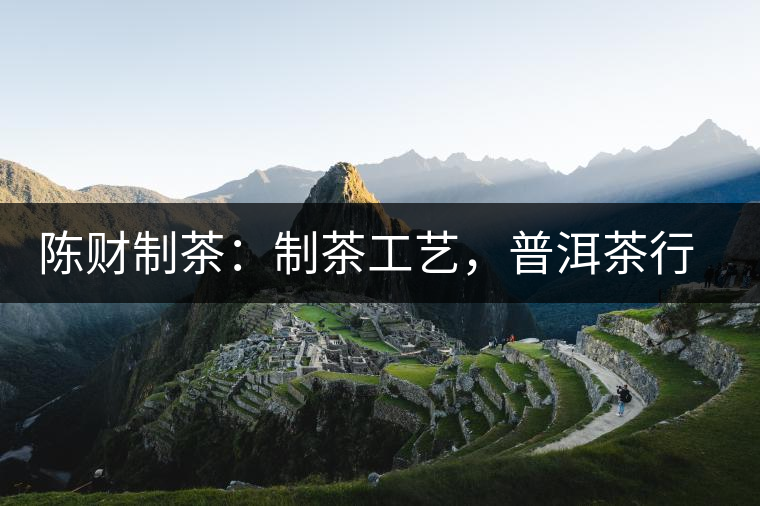 陳財(cái)制茶：制茶工藝，普洱茶行業(yè)的生死線