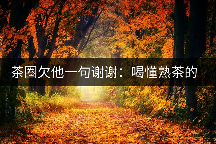 茶圈欠他一句謝謝：喝懂熟茶的人，都該記住陳佩仁這個名字
