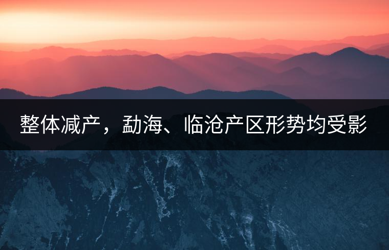 整體減產(chǎn)，勐海、臨滄產(chǎn)區(qū)形勢(shì)均受影響