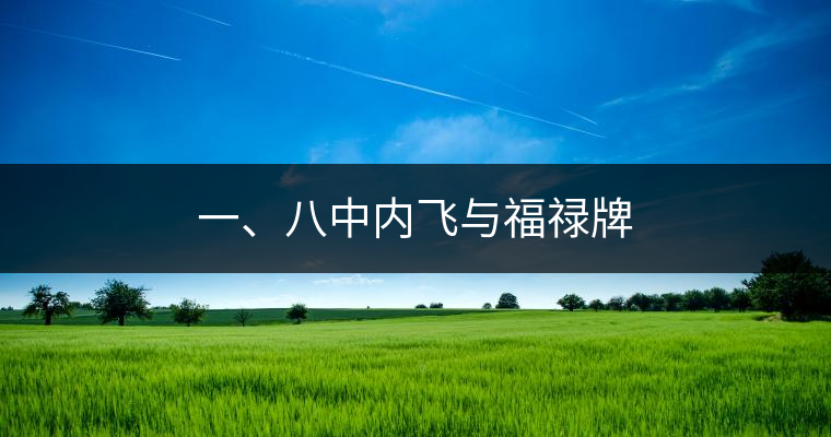一、八中內(nèi)飛與福祿牌