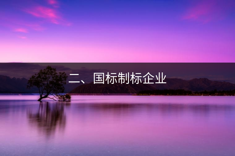 二、國標(biāo)制標(biāo)企業(yè)