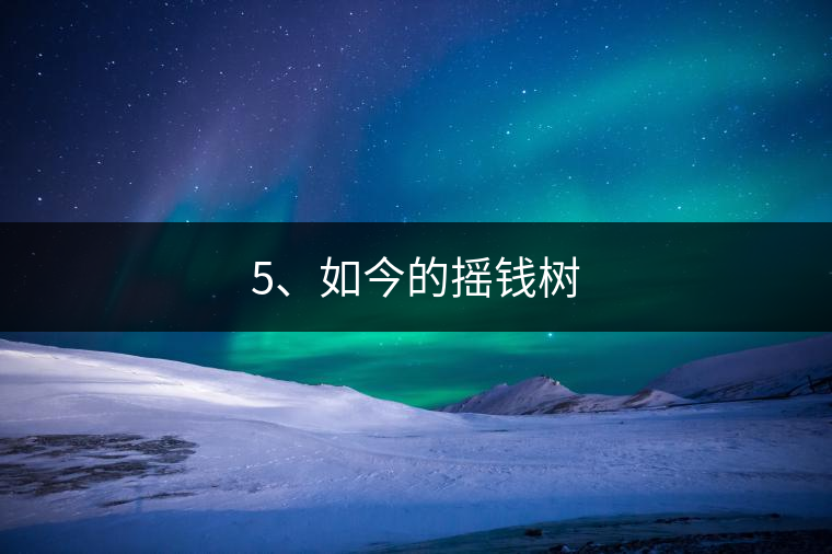 5、如今的搖錢樹