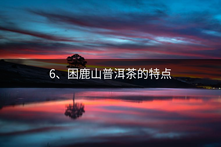 6、困鹿山普洱茶的特點(diǎn)