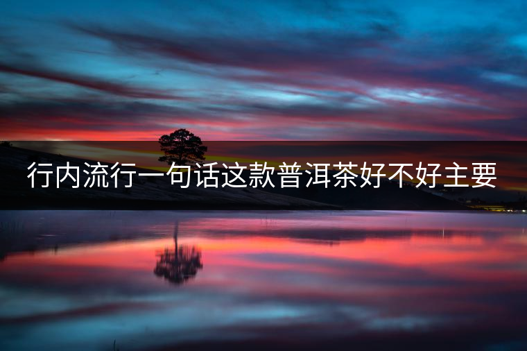 行內(nèi)流行一句話這款普洱茶好不好主要還看尾水，雖然比較片面但是也有一定道理。