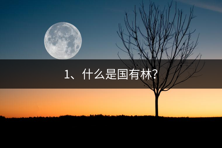 1、什么是國(guó)有林？