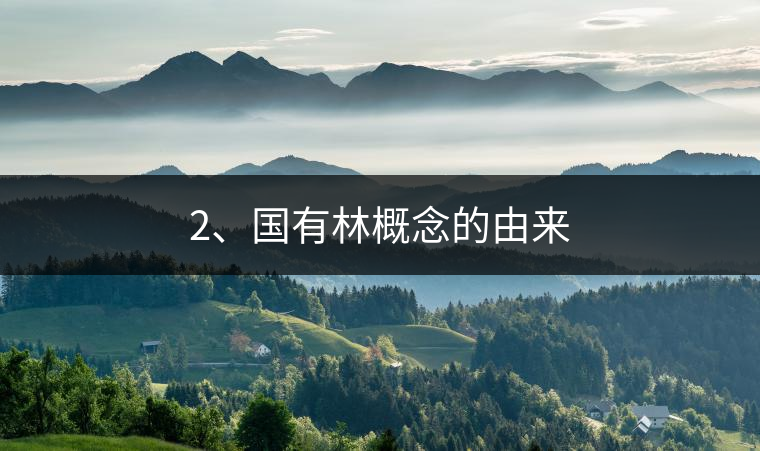 2、國(guó)有林概念的由來(lái)